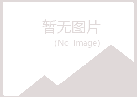 青海字迹计算机有限公司